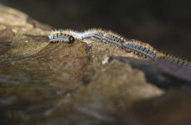 Similar image 18143382