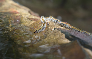 Similar image 18143385