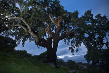 Similar image 18143344