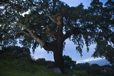 Similar image 18143345