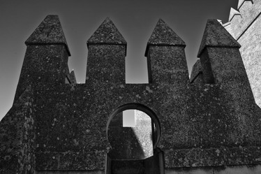 Similar image 18509941