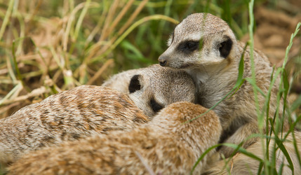 Similar image 18509944