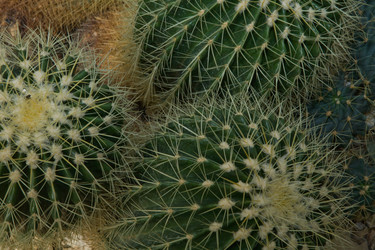 Similar image 18140955