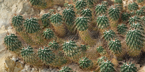 Similar image 18140957