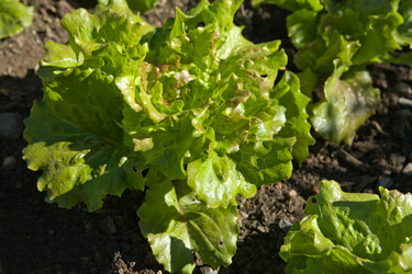 Similar image 18140984