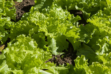 Similar image 18141007