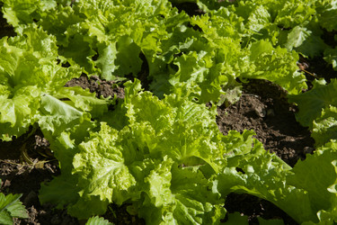 Similar image 18141011