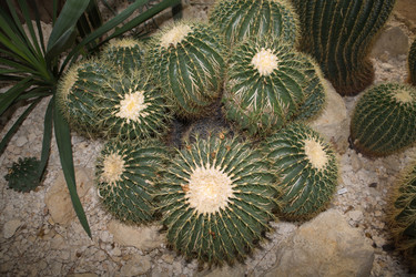 Similar image 18141014