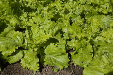 Similar image 18143381