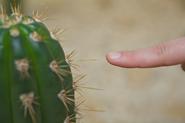 Similar image 18143390