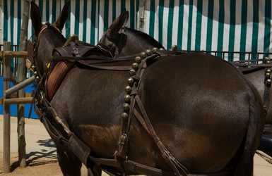 Similar image 18140986