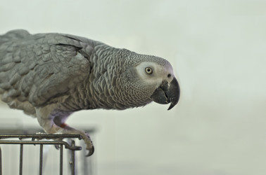 Similar image 18141016