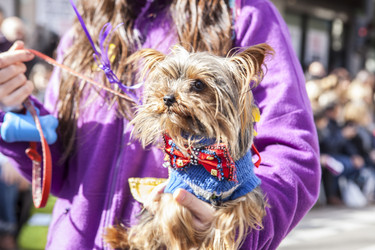 Similar image 18143357