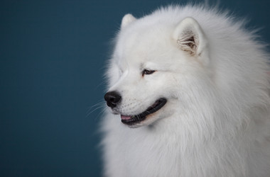 Similar image 18140999