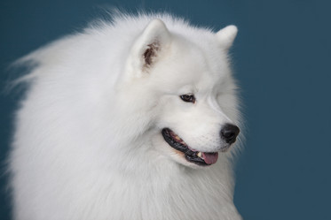 Similar image 18141021