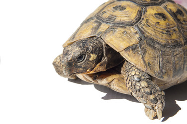 Similar image 18509933