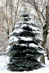 Similar image 18156350