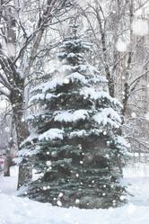 Similar image 18156411