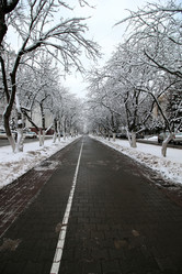 Similar image 18156451