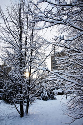 Similar image 18156571