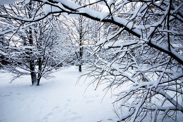 Similar image 18156645