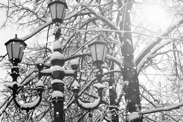 Similar image 18156723