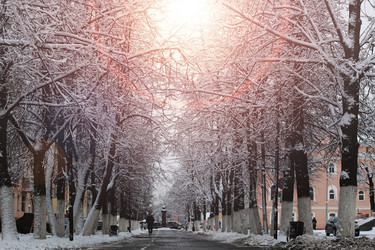 Similar image 18156844