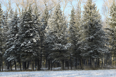 Similar image 18156332