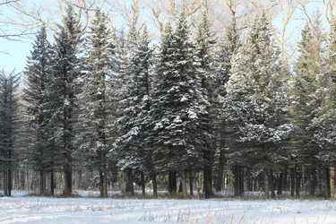 Similar image 18156352