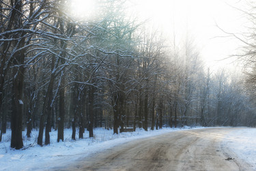 Similar image 18156613