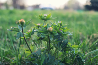 Similar image 18156104