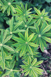 Similar image 18156129