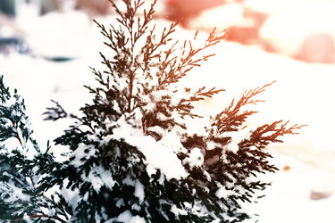 Similar image 18156534