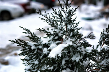 Similar image 18156573