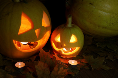 Similar image 18152299