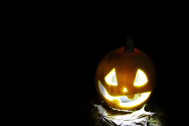 Similar image 18151997