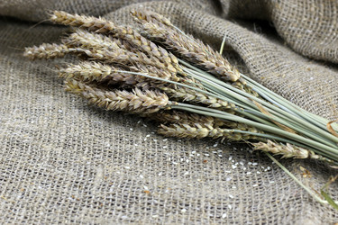 Similar image 18156144