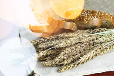 Similar image 18156316