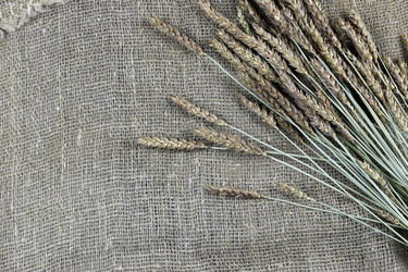 Similar image 18156575