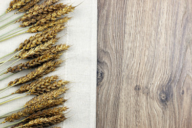 Similar image 18156727