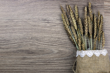 Similar image 18156813