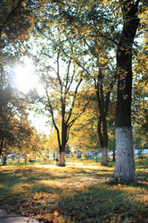 Similar image 18152184