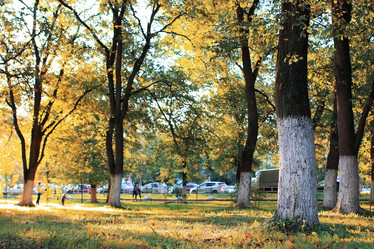 Similar image 18152243