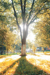 Similar image 18152361