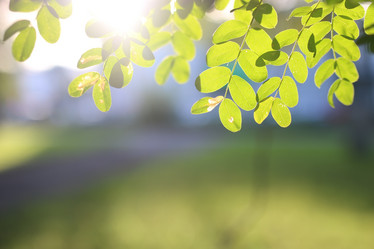 Similar image 18156317