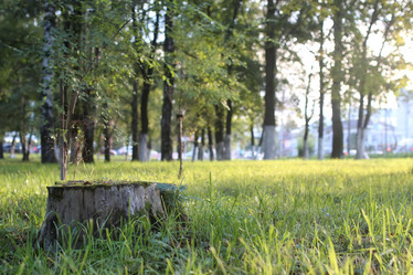 Similar image 18156359