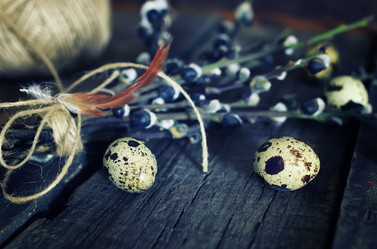 Similar image 18152101