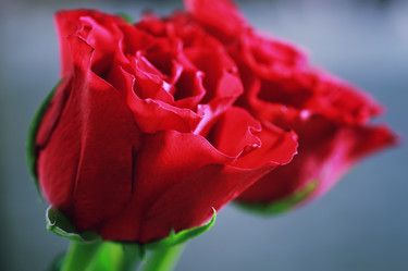 Similar image 18152286