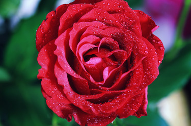 Similar image 18152763