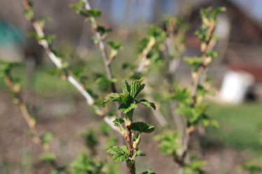 Similar image 18152328